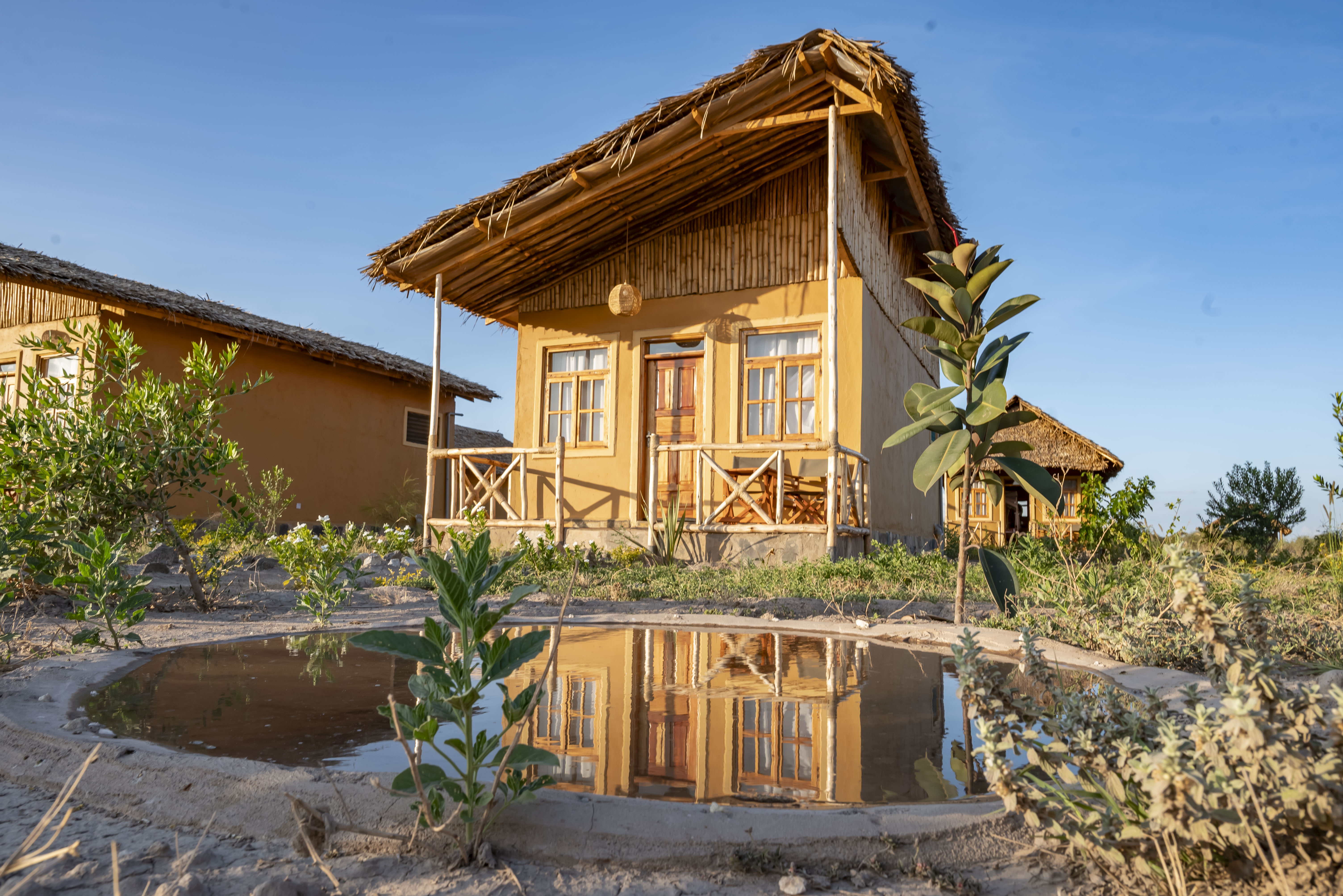 Safari & Resort Identity â€” Brand Systems