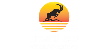 Emartico Africa Adventures Logo